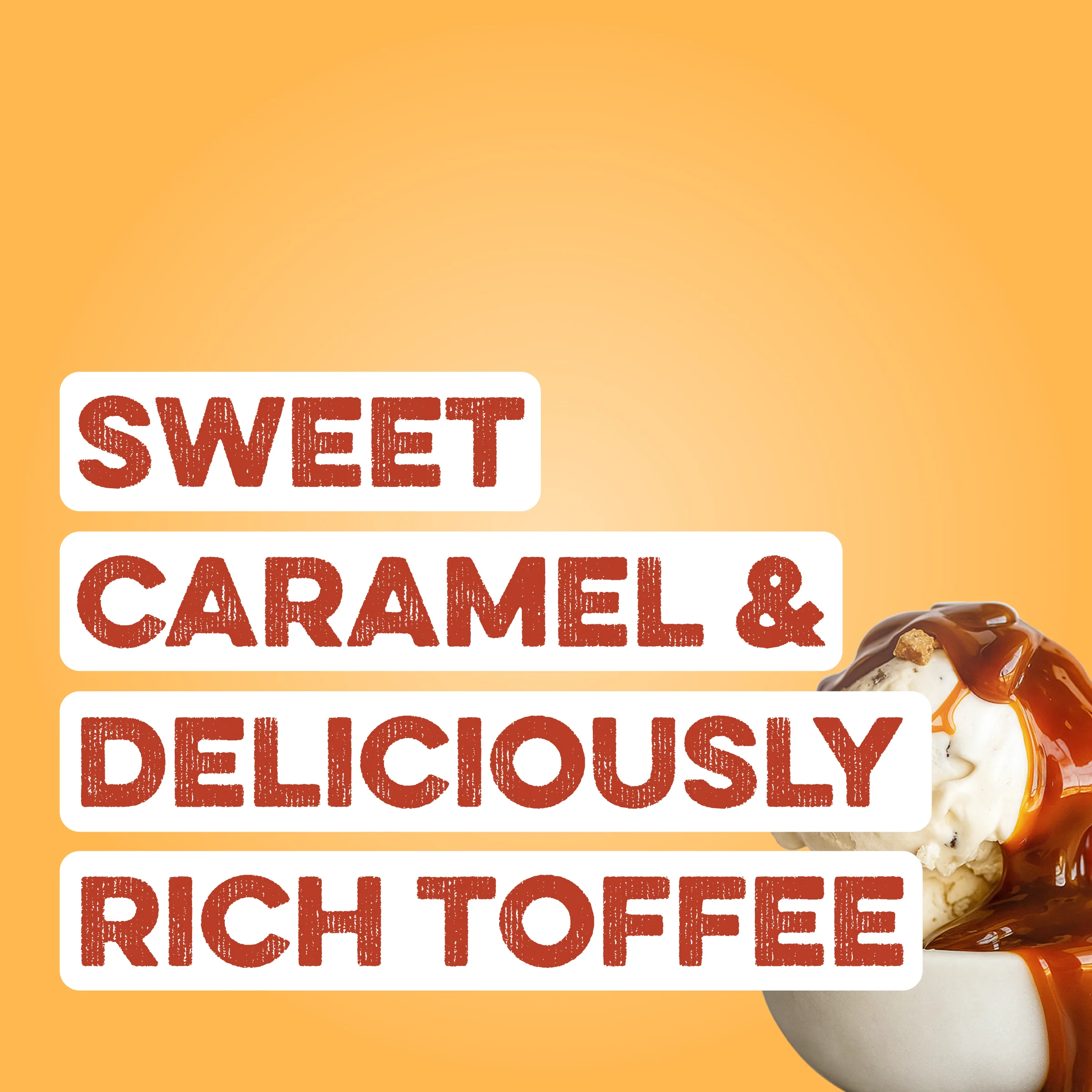 Protein Powder: Caramel Toffee (30 Serving Bag) - Image 2