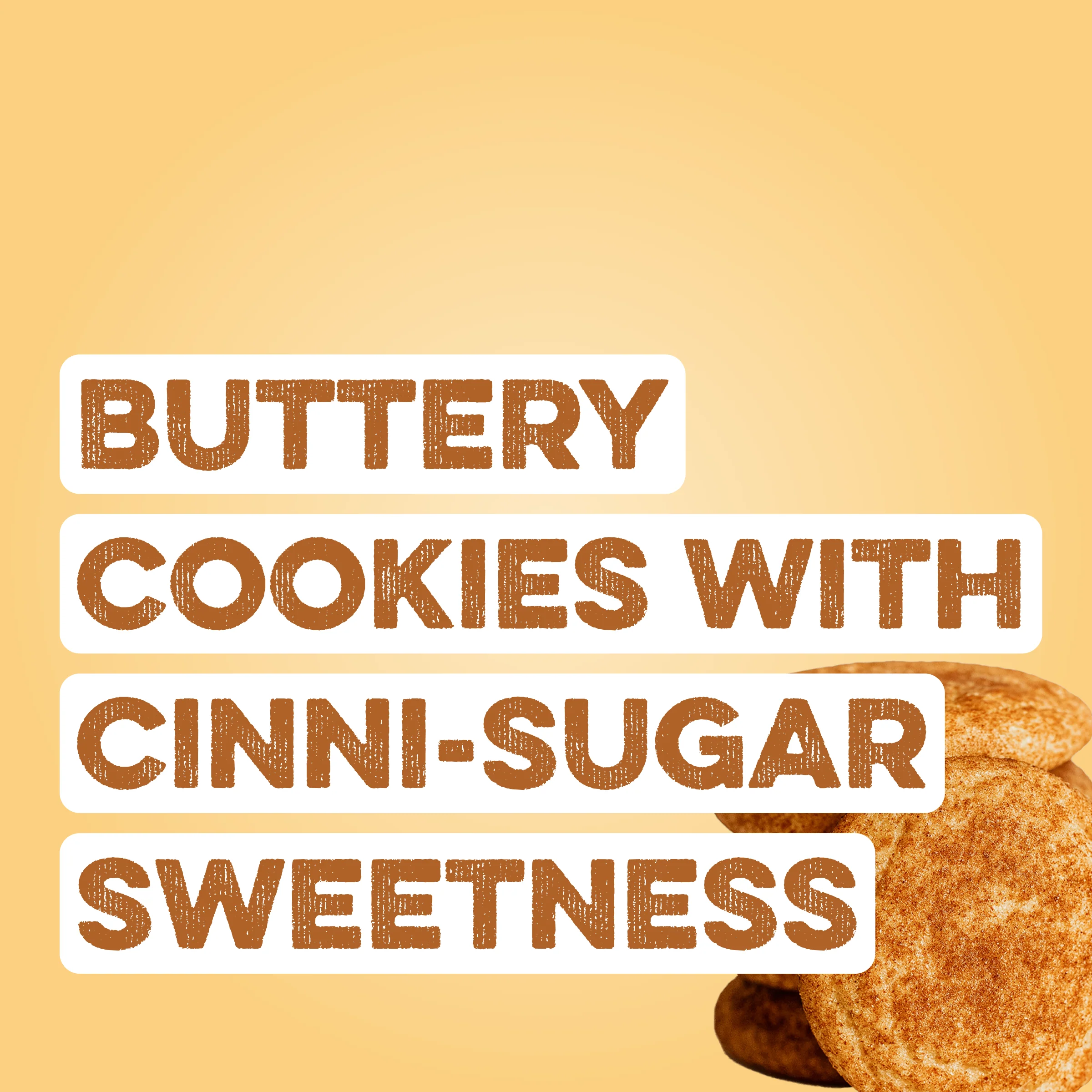 Protein Powder: Snickerdoodle (10 Single Serving Stick Packs) - Image 2